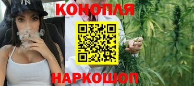 гидропоника Берёзовский