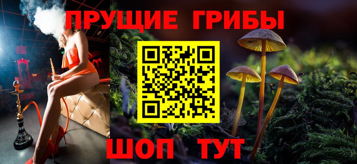Псилоцибиновые грибы MAGIC MUSHROOMS Клинцы
