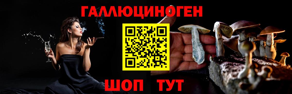 Галлюциногенные грибы мицелий  Вход с VPN  Клинцы 